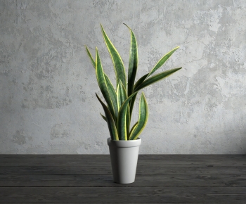 Modern Potted Green Plant-ID:183051113