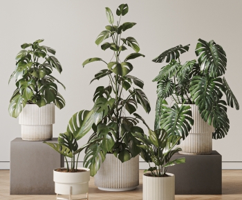 现代落地绿植盆栽组合-ID:459641936