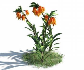 Modern Flowers And Grass-ID:235306986