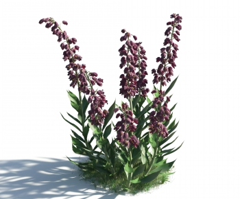 Modern Flowers And Grass-ID:372816096