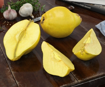 Modern Fruit-ID:634022002