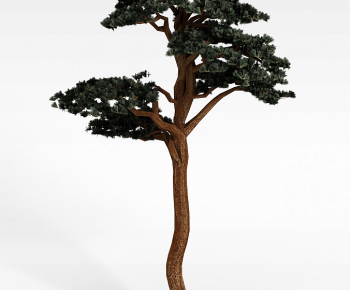 Modern Tree-ID:219649086