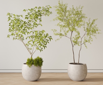 现代落地绿植盆栽组合-ID:763180024