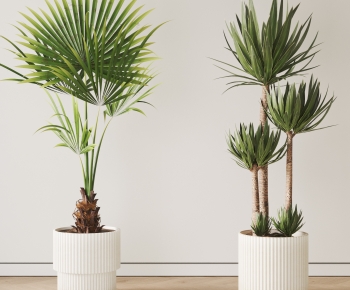 现代落地绿植盆栽组合-ID:737390042