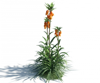 Modern Flowers And Grass-ID:488681087