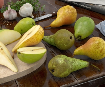 Modern Fruit-ID:814461958