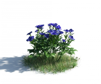 Modern Flowers And Grass-ID:200922971