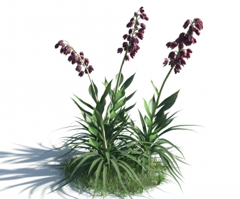 Modern Flowers And Grass-ID:655237915