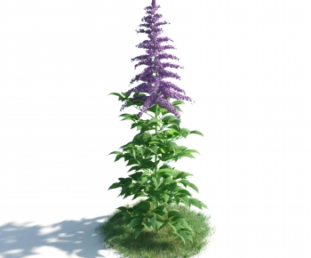 Modern Flowers And Grass-ID:417021041