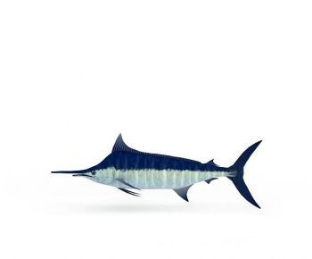 Modern Aquatic Animals-ID:706953059