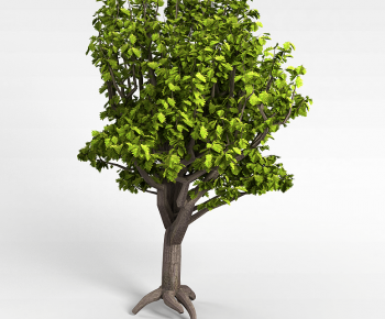 Modern Tree-ID:833849911