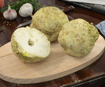 Modern Vegetables-ID:960320002