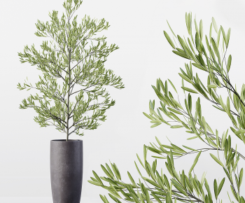 Modern Ground Green Plant Potted Plants-ID:968206889