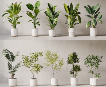 现代落地绿植盆栽组合-ID:897924906