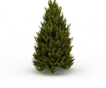 Modern Tree-ID:566643951