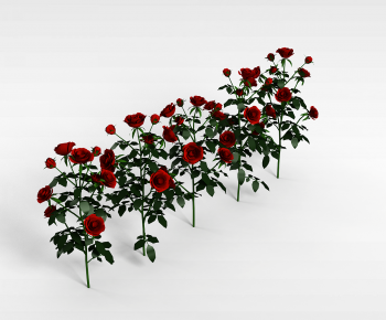 Modern Flowers And Grass-ID:766239267