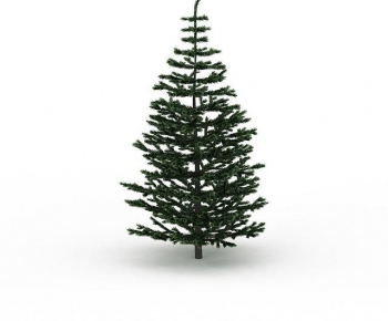 Modern Tree-ID:762739902