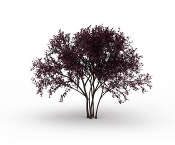 Modern Tree-ID:507810132