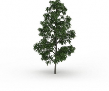 Modern Tree-ID:381391067