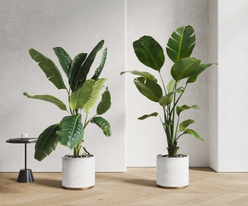 现代落地绿植盆栽组合-ID:624949931