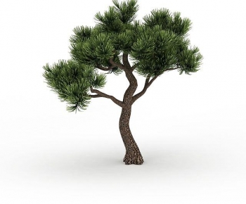 Modern Tree-ID:132685904
