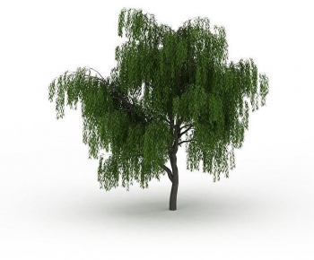 Modern Tree-ID:332838063