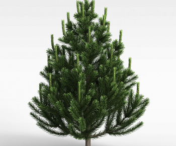 Modern Tree-ID:175230034