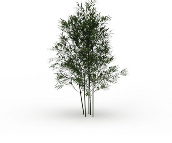 Modern Tree-ID:486243968