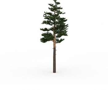 Modern Tree-ID:189371111