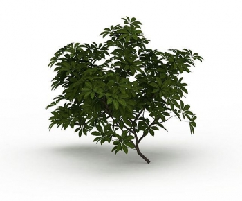 Modern Shrubbery-ID:423207044