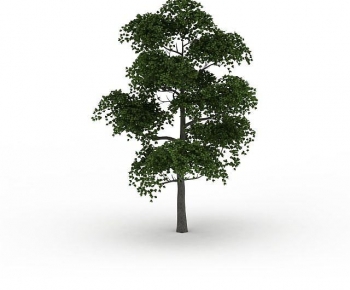 Modern Tree-ID:797936927