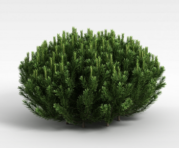 Modern Shrubbery-ID:117859895