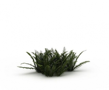 Modern The Grass-ID:159055951