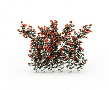 Modern Vine-ID:120806937