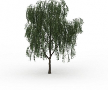 Modern Tree-ID:227338089
