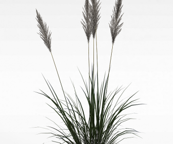 Modern The Grass-ID:475626951