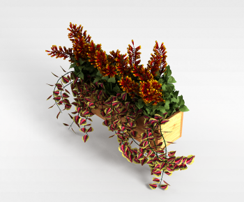 Modern Flower Bed, Flower Bowl, Flower Box-ID:358068948