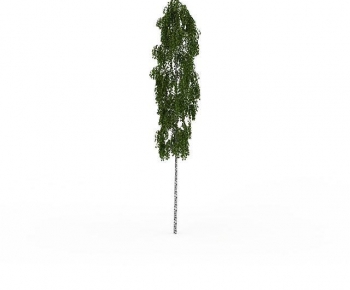 Modern Tree-ID:307049998