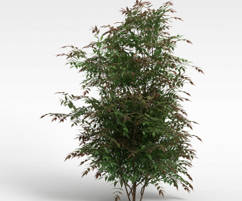 Modern Tree-ID:403070432