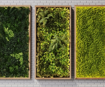 Modern Plant Wall-ID:601649366