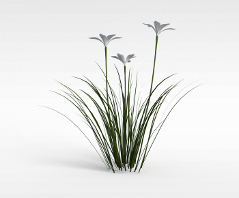Modern Flowers And Grass-ID:839416984