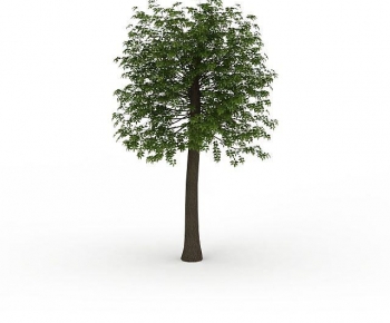 Modern Tree-ID:448793897