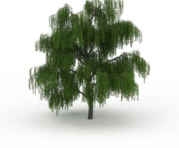 Modern Tree-ID:181591038