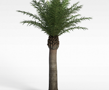 Modern Tree-ID:872850898