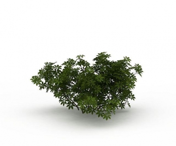 Modern Shrubbery-ID:533487081