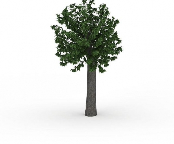 Modern Tree-ID:201194053