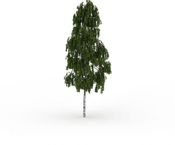 Modern Tree-ID:716507912