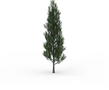 Modern Tree-ID:798576124
