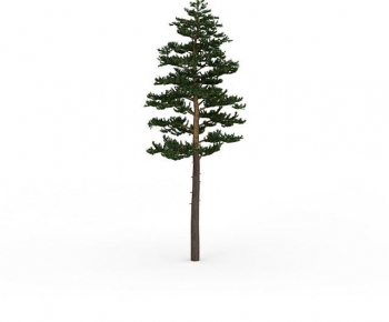 Modern Tree-ID:762543925