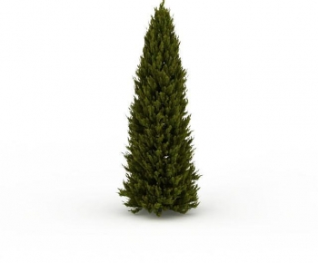 Modern Tree-ID:949887994